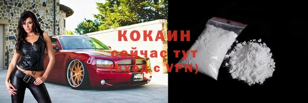 спиды Инсар