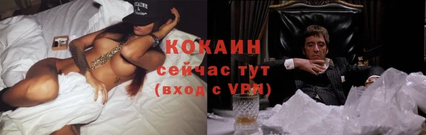 спиды Инсар