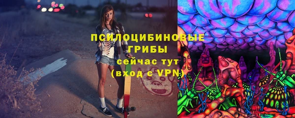 спиды Инсар