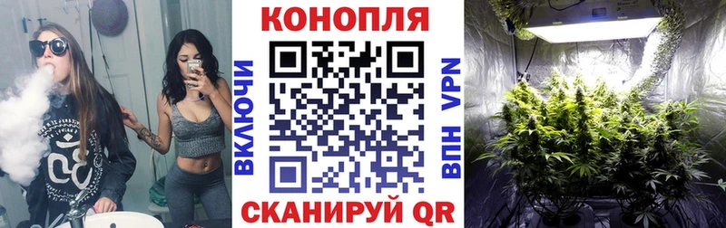 Канабис ГИДРОПОН  закладка  OMG ссылки  Любань 